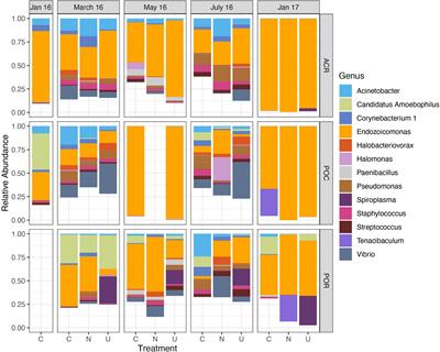 Coral Microbiomes Demonstrate Flexibility and Resilience Through a Reduction in Community Diversity Following a Thermal Stress Event